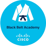 cisco pre sales