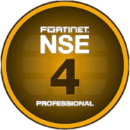 nse4